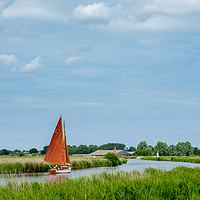 Buy canvas prints of Tranquil Sailing on Thurne River by Rick Bowden