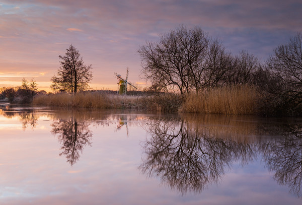 Winter Sunrise on the River Ant Picture Board by Rick Bowden