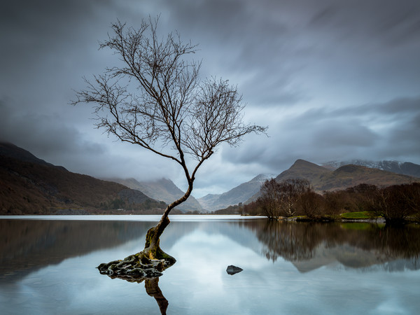 Serenity at Snowdonia Picture Board by Rick Bowden