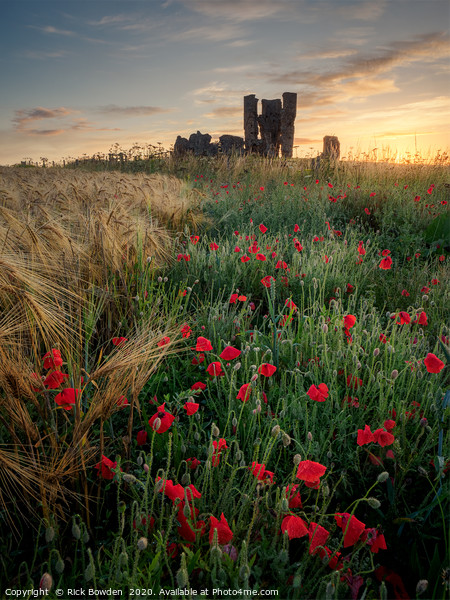 A sunrise among the poppies Picture Board by Rick Bowden