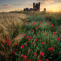 Buy canvas prints of A sunrise among the poppies by Rick Bowden