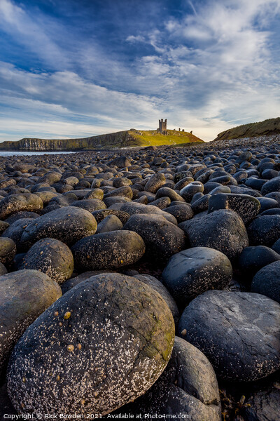 Dunstanburgh  Castle  Northumberland Picture Board by Rick Bowden