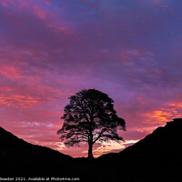 Buy canvas prints of Majestic Sunrise at Sycamore Gap by Rick Bowden