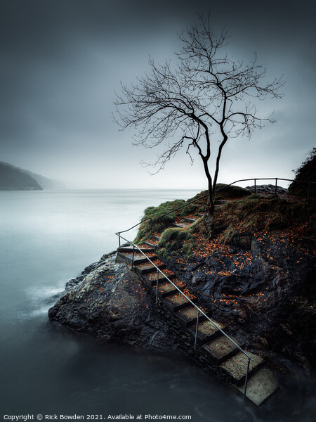 The Peaceful Isolation of Babbacombe Tree Picture Board by Rick Bowden