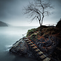 Buy canvas prints of The Peaceful Isolation of Babbacombe Tree by Rick Bowden
