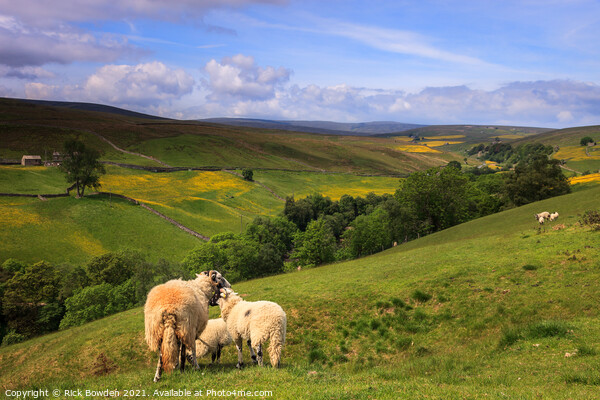 Swaledale Yorkshire Dales Picture Board by Rick Bowden