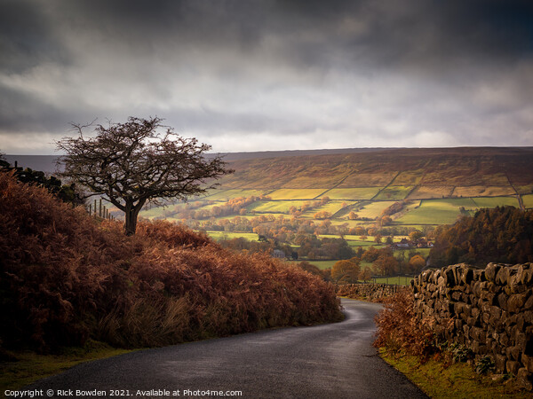 Serene Farndale Valley Picture Board by Rick Bowden