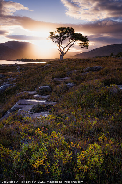 Loch Maree Scotland Picture Board by Rick Bowden