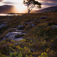 Buy canvas prints of Loch Maree Scotland by Rick Bowden