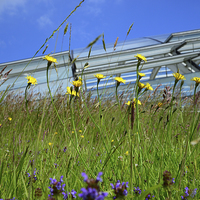 Buy canvas prints of National Botanical Centre, Wales  by Jonathan Evans