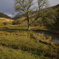 Buy canvas prints of Brecon Beacons in some winter sunshine by Jonathan Evans