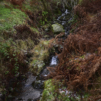 Buy canvas prints of Brecon Beacons mountain stream  by Jonathan Evans