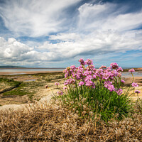 Buy canvas prints of Hilbre Island by Rob Pitt