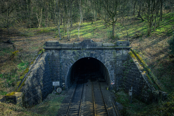 padley gorge tunnel Picture Board by Jason Thompson