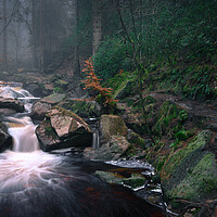 Buy canvas prints of Whyming brook                by Jason Thompson