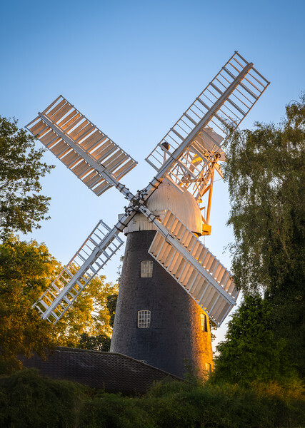 Mount pleasant windmill  Picture Board by Jason Thompson