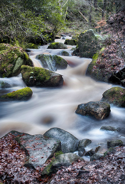 Wyming Brook waterfall Picture Board by Jason Thompson