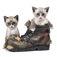 Buy canvas prints of snowshoe kittens by Jason Thompson