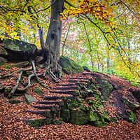 Buy canvas prints of autumn in Padley Gorge  by Jason Thompson