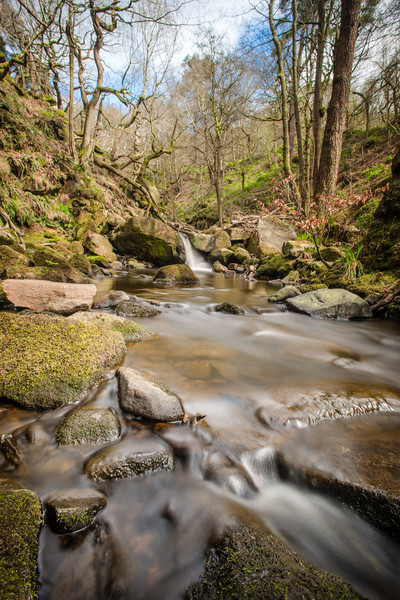 padley gorge Picture Board by Jason Thompson