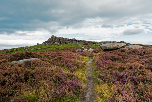 Over Owler Tor  Picture Board by Jason Thompson