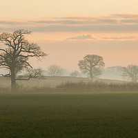 Buy canvas prints of morning mist by Jason Thompson