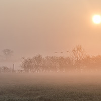 Buy canvas prints of misty morning  by Jason Thompson