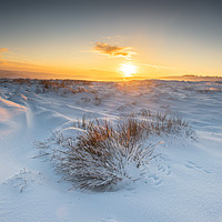 Buy canvas prints of snowy sunrise, by Jason Thompson