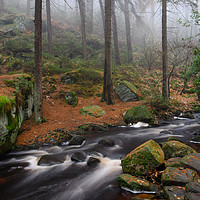 Buy canvas prints of Wyming Brook by Jason Thompson