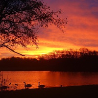 Buy canvas prints of  Sunrise Over Swan Lake by Jacqueline Mays