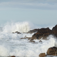 Buy canvas prints of  Wild waves at Coldingham by Heather Proudlock