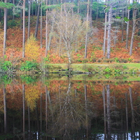 Buy canvas prints of  Autumn reflections by Ross Lawford