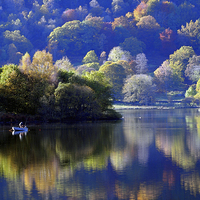 Buy canvas prints of The angler by Susan Tinsley