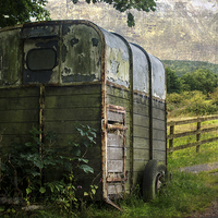 Buy canvas prints of Neglected horse box by Susan Tinsley
