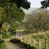 Buy canvas prints of Path to Grasmere by Susan Tinsley