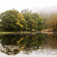 Buy canvas prints of Autumn at Loughrigg by Susan Tinsley