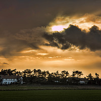 Buy canvas prints of Scarisbrick sunset by Susan Tinsley