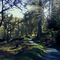 Buy canvas prints of Colwith woodland by Susan Tinsley