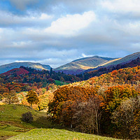 Buy canvas prints of Autumn in the Langdales by Susan Tinsley