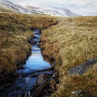 Buy canvas prints of On route to Llyn Y Fan Fach  by Simon Rees