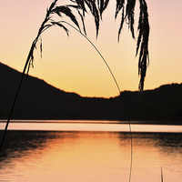 Buy canvas prints of Lake Haupiri sunset by Peter Righteous
