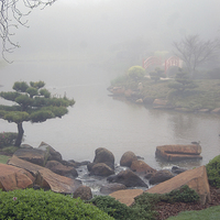 Buy canvas prints of Japanese garden by Peter Righteous