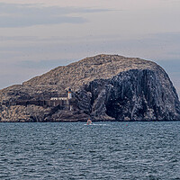 Buy canvas prints of Bass Rock by Alan Sinclair