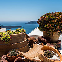 Buy canvas prints of Roof top garden by Alan Sinclair