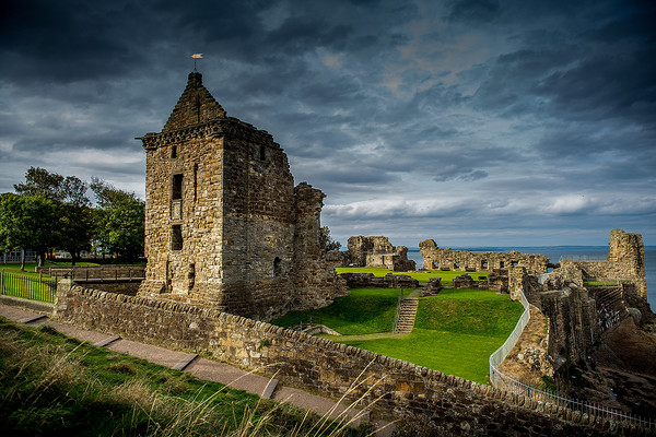 St Andrews Castle  Picture Board by Alan Sinclair