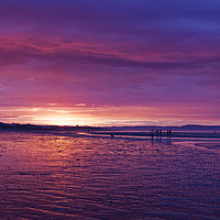 Buy canvas prints of Portobello Purple Sunset by DREW MCLEAN