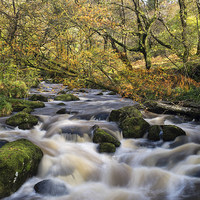 Buy canvas prints of  Afon Teigl in Autumn by Alwyn Jones