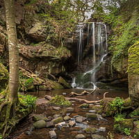 Buy canvas prints of Roughtin Linn in Northumberland by Marcia Reay