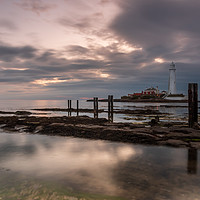 Buy canvas prints of Sunrise at St Mary's lighthouse by Marcia Reay