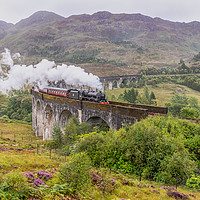 Buy canvas prints of Glenfinnan Jacobite train by Marcia Reay